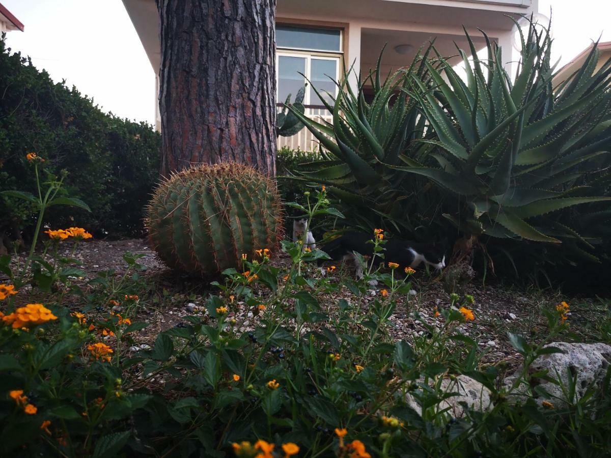 ブルコリ Casa Di Poseidoneヴィラ エクステリア 写真